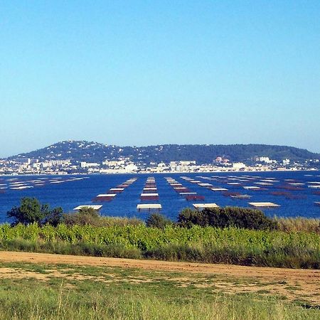 Apartamento Port Mezua Mèze Exterior foto