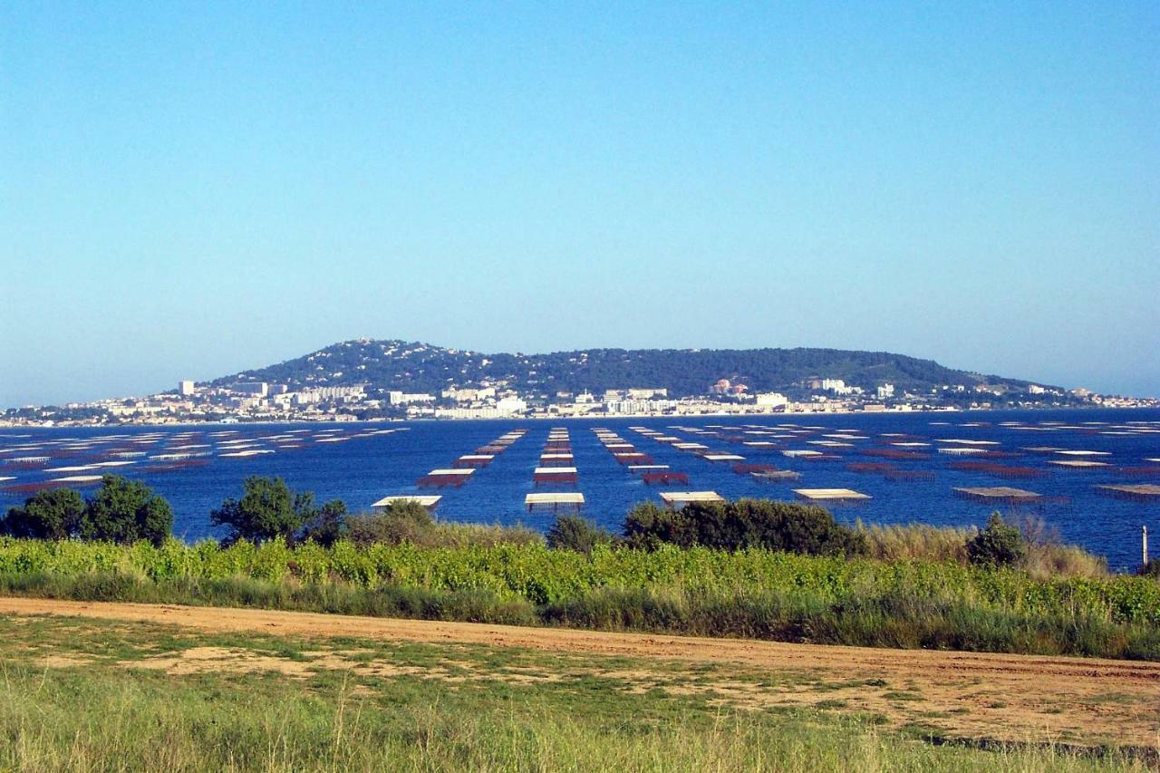 Apartamento Port Mezua Mèze Exterior foto